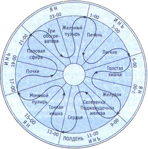 Китайские энергетические часы Китайские энергетические часы