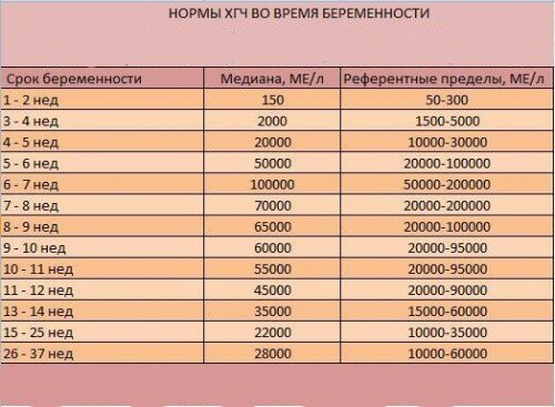 ХГЧ: типы анализов, расшифровка полученных результатов ХГЧ: типы анализов, расшифровка полученных результатов