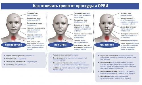 Как отличить грипп от простуды и ОРВИ? Как отличить грипп от простуды и ОРВИ?